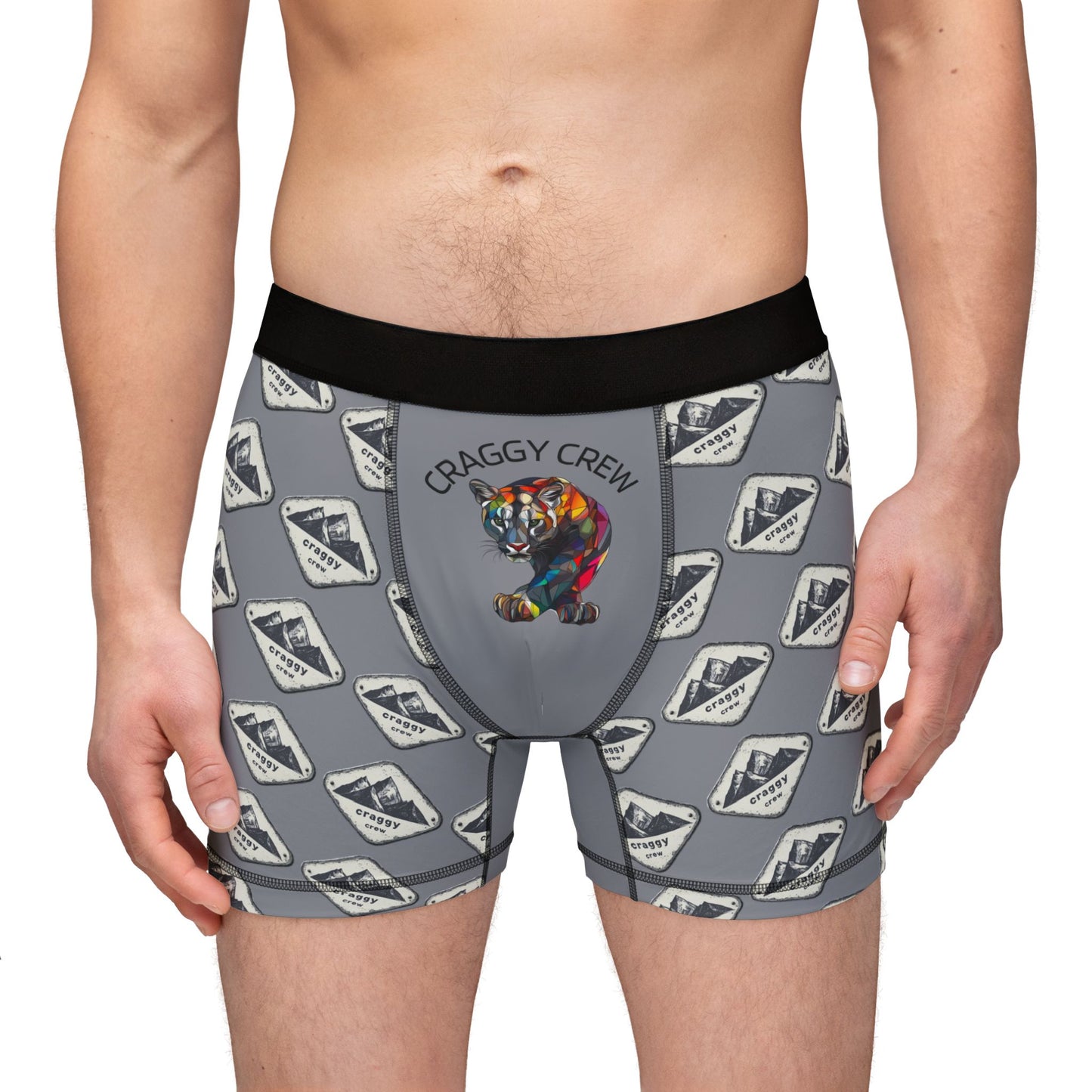 Craggy Lion Men's Boxer Briefs